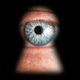 Illustration for article titled NSA-Led Panel Says Theres No Alternative To NSA Data Collection
